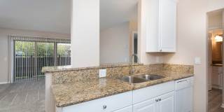 Volterra at La Mesa Gallery 95