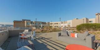 Linden Apartments Gallery 25