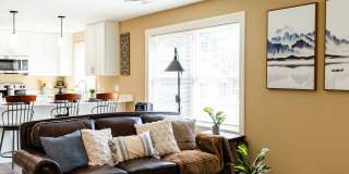 Paugus Woods Gallery 4