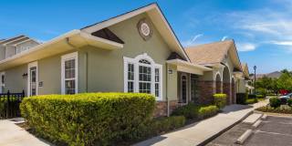 Angel Landing Gallery 28