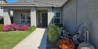 MUST SEE 4 Bedroom 2 bath Gallery 3