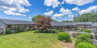 The Maples Gallery 5