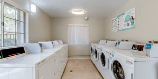 Gladstone Ridge Gallery 9