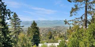 Wooded Serenity and Painted Skies in the Berkeley Hills Gallery 1