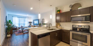 Midtown Houston Living Gallery 13