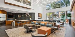 AMLI Uptown Orange Gallery 15