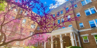 1820 CLYDESDALE Place NW Gallery 1