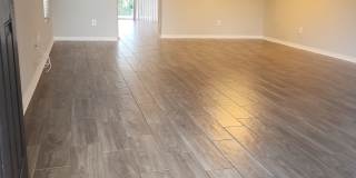 15702 Fishhawk Falls Dr Gallery 4