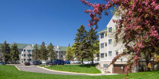 Avana Southview Gallery 60