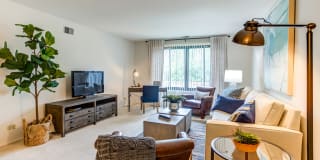 International Village Gallery 10