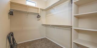 22507 N 31st Avenue Gallery 19