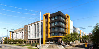 Terra House Gallery 5