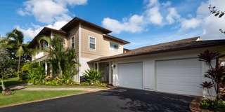 Coconut Plantation Gallery 3