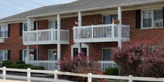 Maple Apts Gallery 1