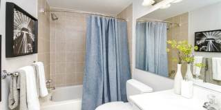 The Cloisters Gallery 54