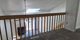 Lake Shores Gallery 9