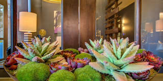 Keller Springs Crossing Apartments Gallery 35