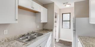 Aspen Flatz Gallery 6