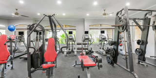 Falls at Eagle Creek Gallery 9