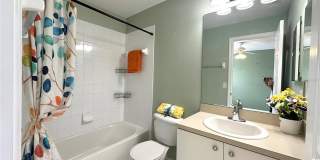 11096 WINTER CREST Drive Gallery 9