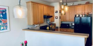 9823 DARCY FOREST Drive Gallery 9
