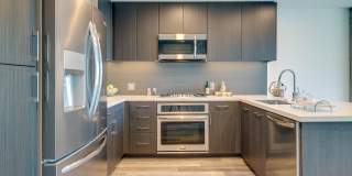 The Merian Gallery 55