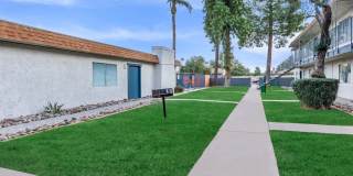 Rise at the Palms Gallery 70