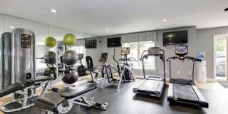 Annen Woods Annen Woods Gallery 20