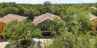 3310 PINE OAK Trail Gallery 23