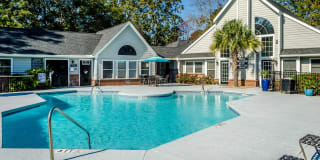 Palmetto Grove Palmetto Grove Gallery 12