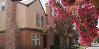 Vine Gate Apartments & Townhomes Gallery 2