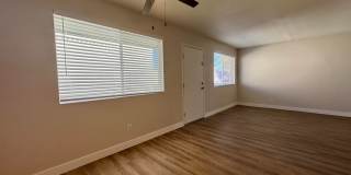 1702 W Tuckey Ln Unit 231 Gallery 6