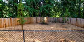 2 Bedroom 1 Bath 957 sq ft Gallery 183