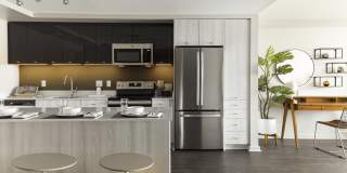 Solaire 8200 Dixon Gallery 1