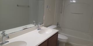 16006 Sight Scape Gallery 15