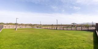 Amavida Marana Gallery 40