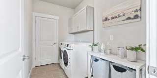 Mangold831 (KC-LN) Gallery 41