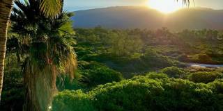 Kai Ani Villages Furnished Second Floor Corner Unit With Garage Gallery 1