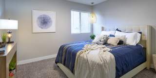 Solstice Gallery 9