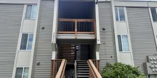4670 Reka Drive Gallery 1