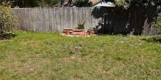 11719 Fort Caroline Lakes Dr - 1 Gallery 19