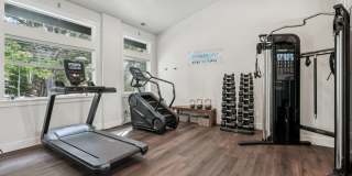 Lakemont Ridge Gallery 28