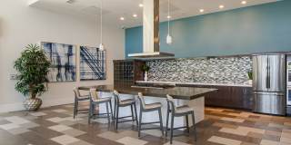 Vive on the Park Gallery 21