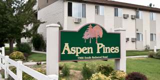 Aspen Pines Gallery 405