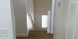 6940 Canary Ivy Way Gallery 19