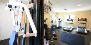 Linden Park Gallery 2