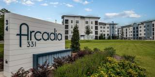 Arcadia 331 Gallery 52