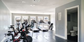 North Star Gallery 9