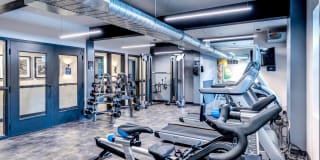 Lock Vista Gallery 25