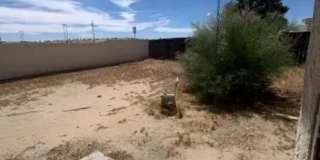 Spacious 4-Bedroom Home with Downstairs Bedroom & Brand-New Carpet Gallery 28